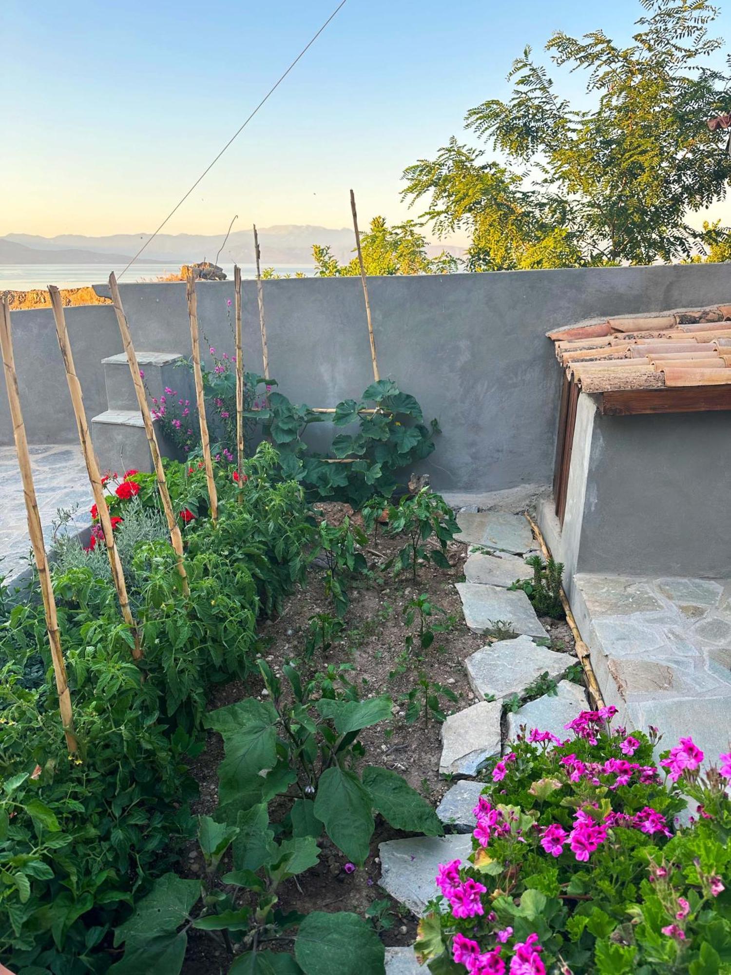 Fteri Stone House In Platanos, Akrata Daire Dış mekan fotoğraf